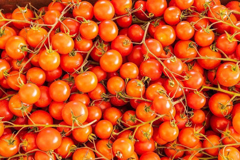 Trapani Province-Trapani Tomatoes for sale at the market in the town of Trapani White Modern Wood Framed Art Print with Double Matting by Wilson, Emily