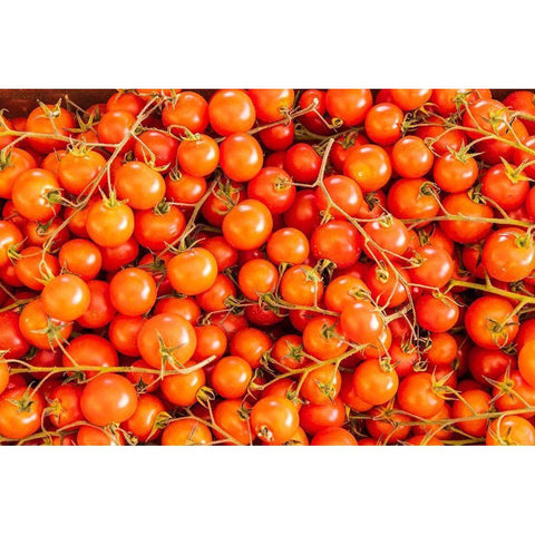 Trapani Province-Trapani Tomatoes for sale at the market in the town of Trapani Black Modern Wood Framed Art Print with Double Matting by Wilson, Emily