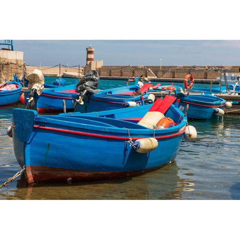 Italy-Apulia-Metropolitan City of Bari-Monopoli Porto di Monopoli Black Modern Wood Framed Art Print by Wilson, Emily