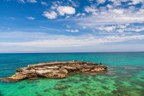 Italy-Apulia-Metropolitan City of Bari-Monopoli Porta Vecchia (Old Port) Black Ornate Wood Framed Art Print with Double Matting by Wilson, Emily