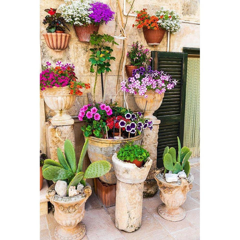 Italy-Apulia-Metropolitan City of Bari-Monopoli Flowers in planters outside a stone building Black Modern Wood Framed Art Print by Wilson, Emily