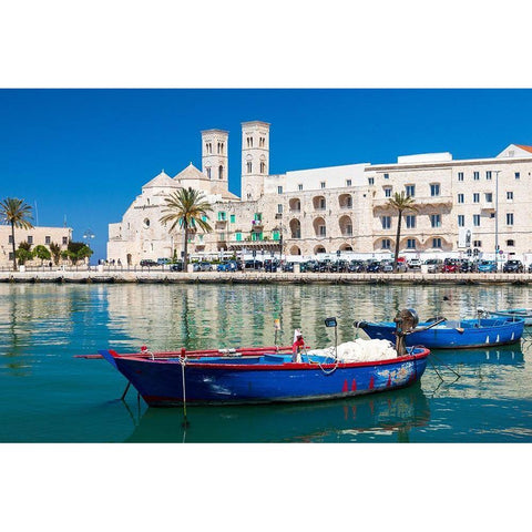 Italy-Apulia-Metropolitan City of Bari-Molfetta Duomo Vecchio di San Corrado Black Modern Wood Framed Art Print by Wilson, Emily