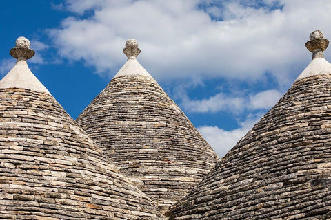 Italy-Apulia-Metropolitan City of Bari-Alberobello Trulli houses Black Ornate Wood Framed Art Print with Double Matting by Wilson, Emily