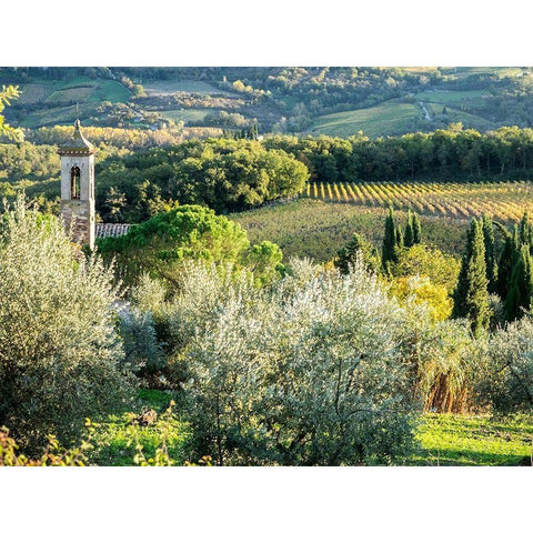 Italy-Chianti Pieve di Santa Maria Novella near Radda in Chianti Black Modern Wood Framed Art Print by Eggers, Julie