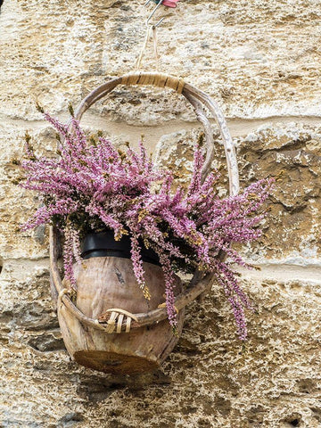 Italy-Chianti Basket of flowers hanging on a stone wall Black Ornate Wood Framed Art Print with Double Matting by Eggers, Julie