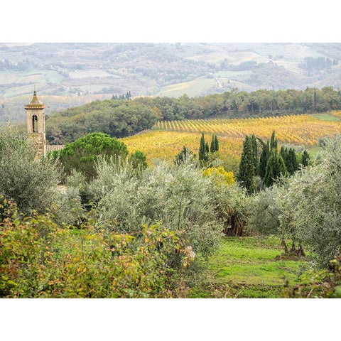 Italy-Chianti Pieve di Santa Maria Novella near Radda in Chianti Black Modern Wood Framed Art Print by Eggers, Julie