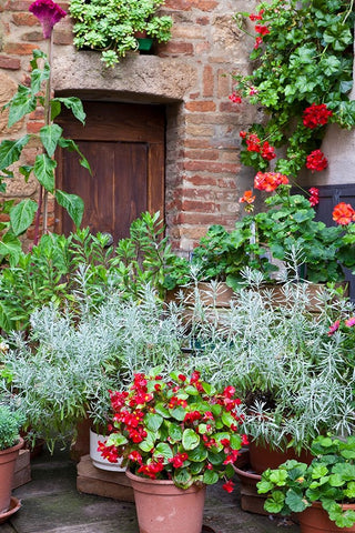 Italy-Tuscany-Pienza Potted plants in the corner of a street in the town of Pienza Black Ornate Wood Framed Art Print with Double Matting by Eggers, Julie