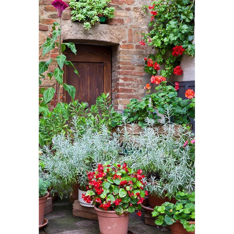 Italy-Tuscany-Pienza Potted plants in the corner of a street in the town of Pienza Black Modern Wood Framed Art Print by Eggers, Julie