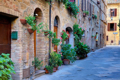 Italy-Tuscany-Pienza Flower pots and potted plants decorate a narrow street in a Tuscany village Black Ornate Wood Framed Art Print with Double Matting by Eggers, Julie