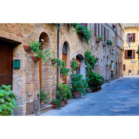 Italy-Tuscany-Pienza Flower pots and potted plants decorate a narrow street in a Tuscany village White Modern Wood Framed Art Print by Eggers, Julie