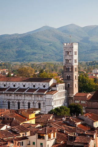 Italy-Tuscany-Lucca The rooftops of the historic Lucca medieval bell tower of St Martin Cathedral Black Ornate Wood Framed Art Print with Double Matting by Eggers, Julie