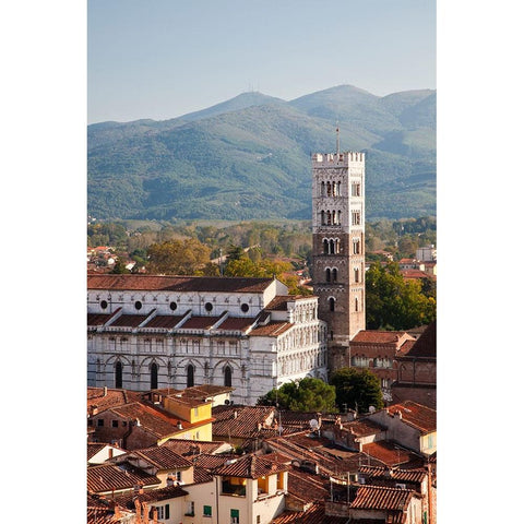 Italy-Tuscany-Lucca The rooftops of the historic Lucca medieval bell tower of St Martin Cathedral Gold Ornate Wood Framed Art Print with Double Matting by Eggers, Julie