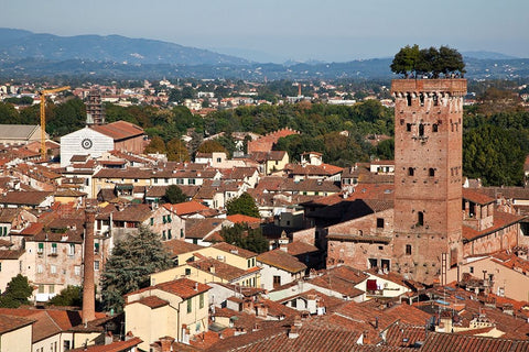 Italy-Tuscany-Lucca The rooftops of the historic center of Lucca and the Guinigi tower Black Ornate Wood Framed Art Print with Double Matting by Eggers, Julie