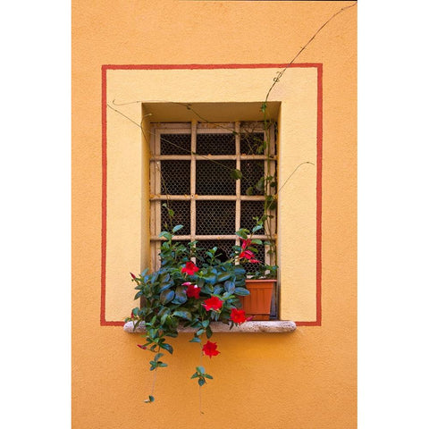 Italy-Tuscany-Montepulciano Potted plant on a windowsill in the hill town of Montepulciano Black Modern Wood Framed Art Print by Eggers, Julie
