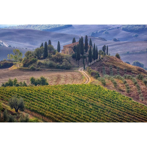 Italy-Tuscany Belvedere House-Olive trees-and vineyards near San Quirico dOrcia Black Modern Wood Framed Art Print with Double Matting by Eggers, Julie