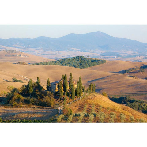 Italy-Tuscany Belvedere House-Olive trees-and vineyards near San Quirico dOrcia Black Modern Wood Framed Art Print with Double Matting by Eggers, Julie