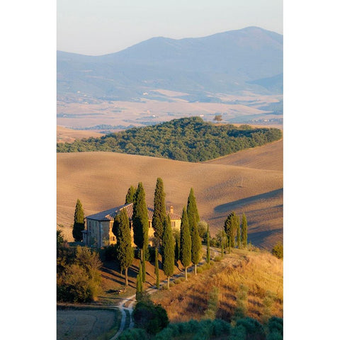 Italy-Tuscany Belvedere House-Olive trees-and vineyards near San Quirico dOrcia Black Modern Wood Framed Art Print with Double Matting by Eggers, Julie
