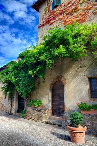 Italy-Tuscany Courtyard of an agriturismo near the hill town of Montalcino Black Ornate Wood Framed Art Print with Double Matting by Eggers, Julie