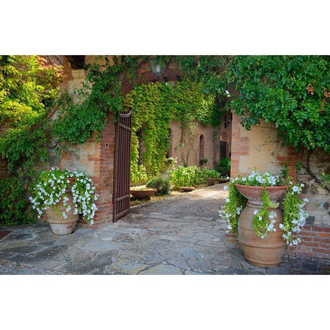 Italy-Tuscany Courtyard of an agriturismo near the hill town of Montalcino White Modern Wood Framed Art Print by Eggers, Julie