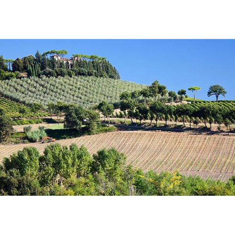 Italy-Tuscany Villa on hillside surrounded with olive trees and vineyard Black Modern Wood Framed Art Print with Double Matting by Eggers, Julie