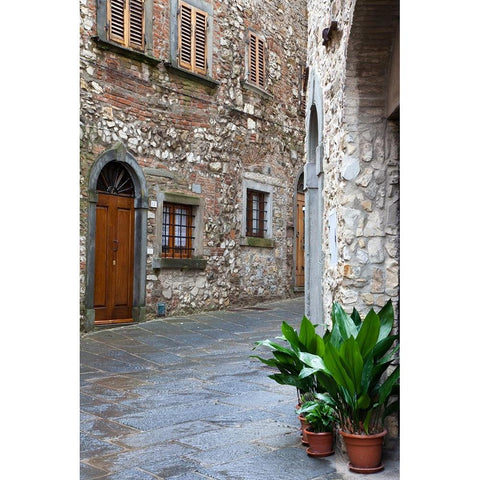 Italy-Radda in Chianti Street view of Radda in Chianti Black Modern Wood Framed Art Print by Eggers, Julie