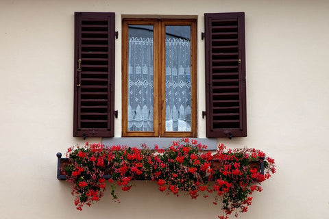 Italy-Radda in Chianti Flower boxes with red geraniums below a window with shutters Black Ornate Wood Framed Art Print with Double Matting by Eggers, Julie