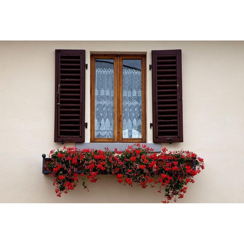 Italy-Radda in Chianti Flower boxes with red geraniums below a window with shutters White Modern Wood Framed Art Print by Eggers, Julie