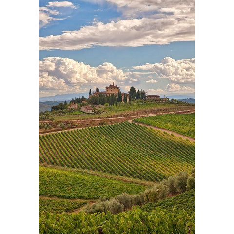 Italy-Tuscany A view of the vineyards and villa in Chianti region of Tuscany-Italy Black Modern Wood Framed Art Print by Eggers, Julie
