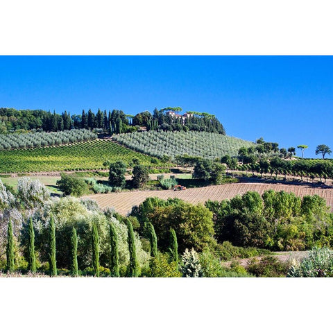Italy-Tuscany Villa on hillside surrounded with olive trees and vineyard Black Modern Wood Framed Art Print with Double Matting by Eggers, Julie
