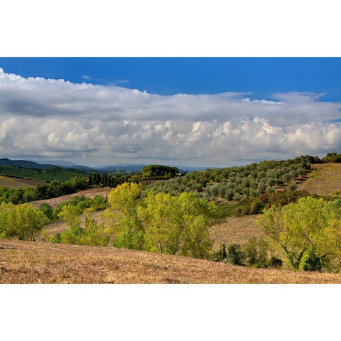 Italy-Tuscany Tuscan landscape Black Modern Wood Framed Art Print by Eggers, Julie