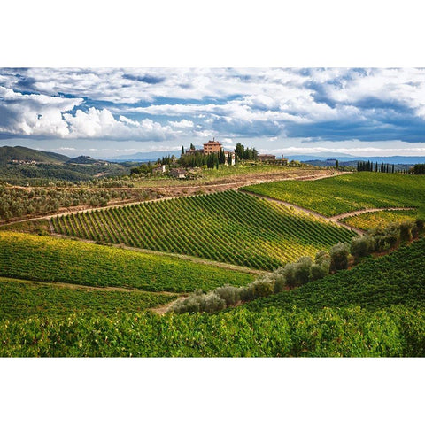 Italy-Tuscany A view of the vineyards and villa in Chianti region of Tuscany-Italy Black Modern Wood Framed Art Print with Double Matting by Eggers, Julie