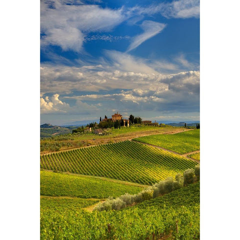 Italy-Tuscany A view of the vineyards and villa in Chianti region of Tuscany-Italy Black Modern Wood Framed Art Print by Eggers, Julie