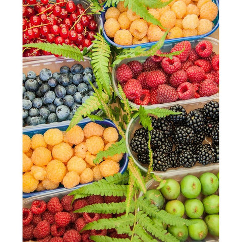 Italy-Venice A variety of berries on display and for sale in the Rialto Market Black Modern Wood Framed Art Print by Eggers, Julie