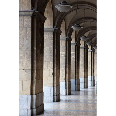 Italy-Tuscany-Pisa Vertical shot of a hallway in the streets of Pisa Gold Ornate Wood Framed Art Print with Double Matting by Eggers, Julie