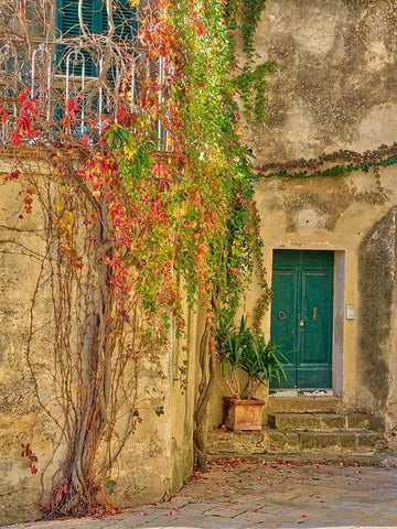 Italy-Tuscany-Monticchiello Red ivy covering the walls of the buildings Black Ornate Wood Framed Art Print with Double Matting by Eggers, Julie