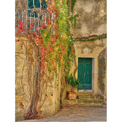 Italy-Tuscany-Monticchiello Red ivy covering the walls of the buildings Gold Ornate Wood Framed Art Print with Double Matting by Eggers, Julie