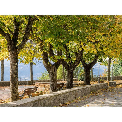 Italy-Tuscany-Radicofani Park setting in the town of Radicofani overlooking the valley below Black Modern Wood Framed Art Print by Eggers, Julie