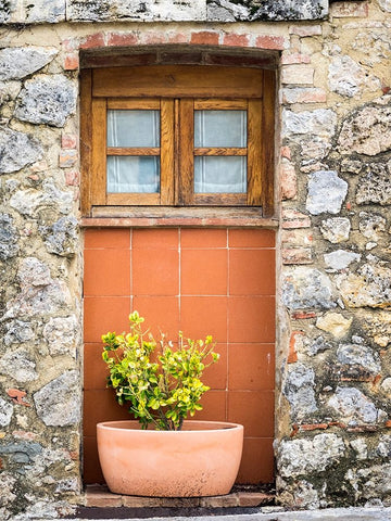 Italy-Chianti-Monteriggioni Wooden shutters on a window with planter below White Modern Wood Framed Art Print with Double Matting by Eggers, Julie