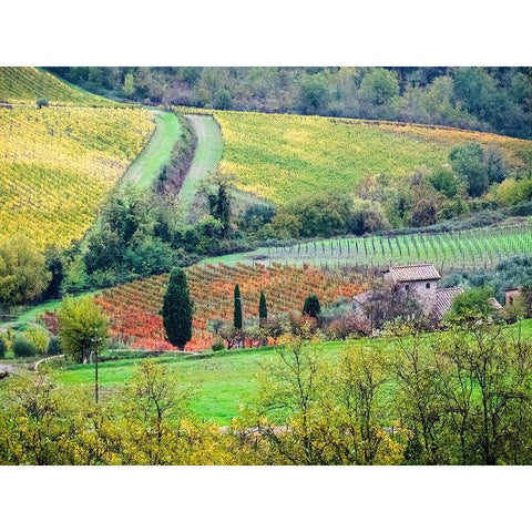 Italy-Tuscany View of the Tuscan countryside Black Modern Wood Framed Art Print by Eggers, Julie