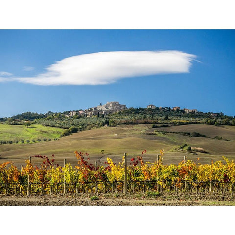 Italy-Tuscany Colorful vineyards in autumn with blue skies and clouds White Modern Wood Framed Art Print by Eggers, Julie