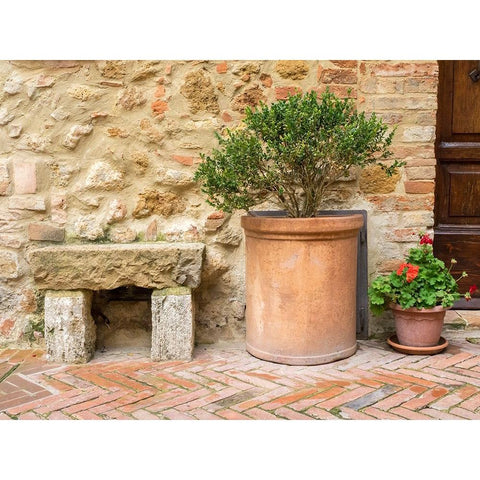 Italy-Tuscany-Pienza Potted plants and stone bench along the streets Black Modern Wood Framed Art Print with Double Matting by Eggers, Julie