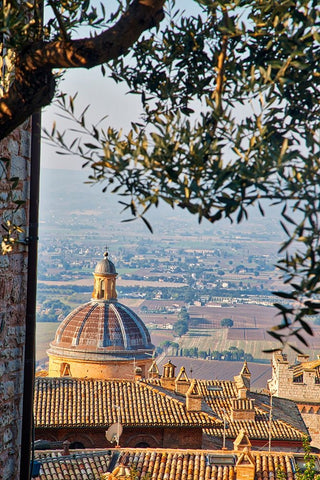 Italy- Umbria- Assisi. The dome of the Convento Chiesa Nuova with the countryside in the distance. Black Ornate Wood Framed Art Print with Double Matting by Eggers, Julie