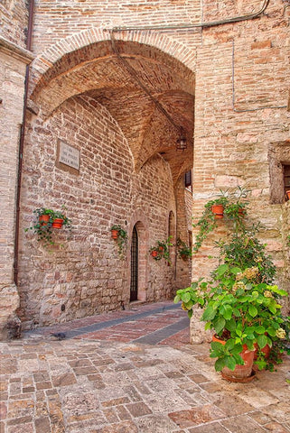 Italy- Umbria. Archway with potted flowers in the streets of Assisi. White Modern Wood Framed Art Print with Double Matting by Eggers, Julie