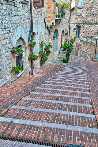 Italy- Umbria- Assisi. Walkway along the streets of Assisi lined with flowering pots. Black Ornate Wood Framed Art Print with Double Matting by Eggers, Julie