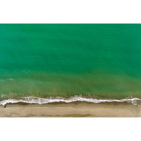 Italy-Tuscany-Torre del Lago Puccini-dunes and free beach Black Modern Wood Framed Art Print with Double Matting by Molinari, Michele