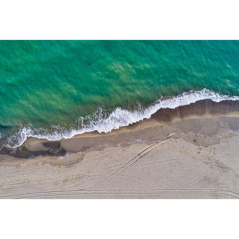 Italy-Tuscany-Torre del Lago Puccini-dunes and free beach Gold Ornate Wood Framed Art Print with Double Matting by Molinari, Michele