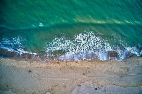 Italy-Tuscany-Torre del Lago Puccini-dunes and free beach Black Ornate Wood Framed Art Print with Double Matting by Molinari, Michele
