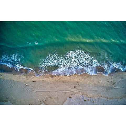 Italy-Tuscany-Torre del Lago Puccini-dunes and free beach Gold Ornate Wood Framed Art Print with Double Matting by Molinari, Michele