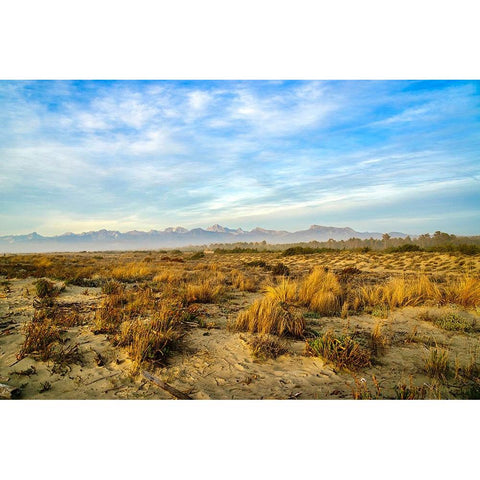 Italy-Riserva Naturale di Massaciuccoli San Rossore-protected coastal forest in Tuscany Gold Ornate Wood Framed Art Print with Double Matting by Molinari, Michele
