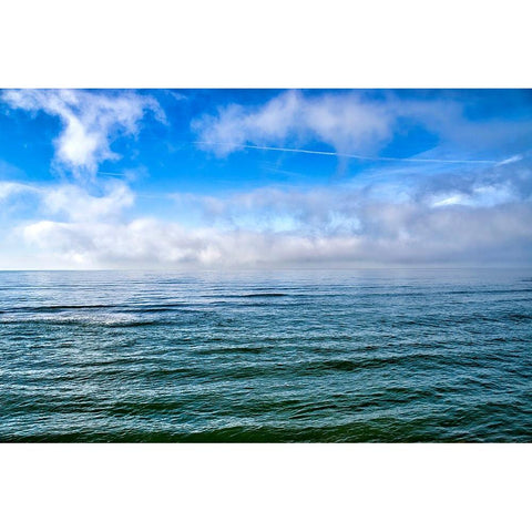 Italy-Riserva Naturale di Massaciuccoli San Rossore-protected coastal forest in Tuscany Black Modern Wood Framed Art Print by Molinari, Michele